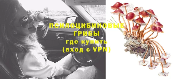 соль курить ск Ельня