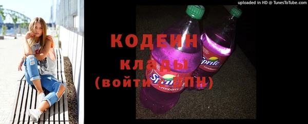 соль ск Елабуга