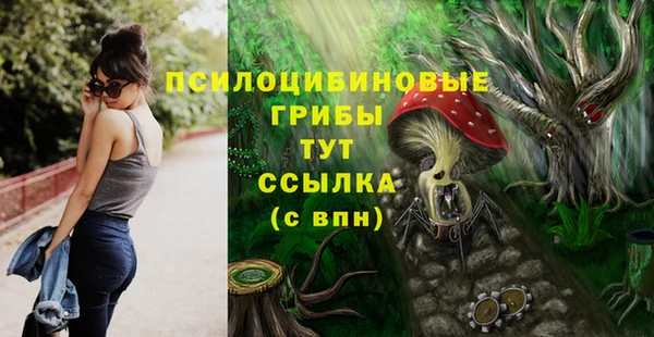 гашиш Дмитров