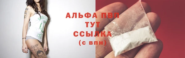 соль ск Елабуга